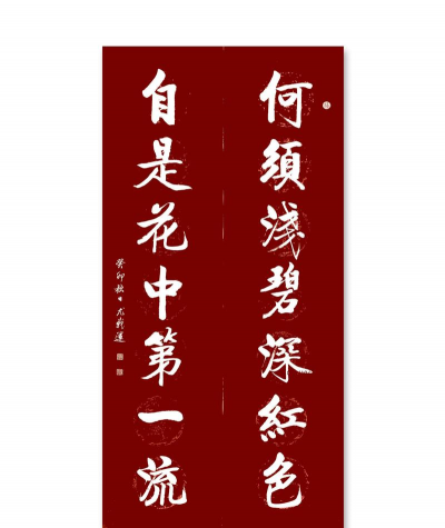 家里阳光不足怎么养花，选对植物种类，掌握养护技巧