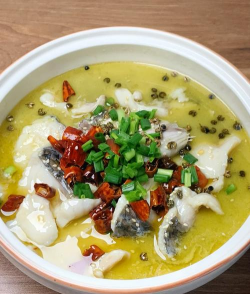 家里阳光不足怎么养花，选对植物种类，掌握养护技巧