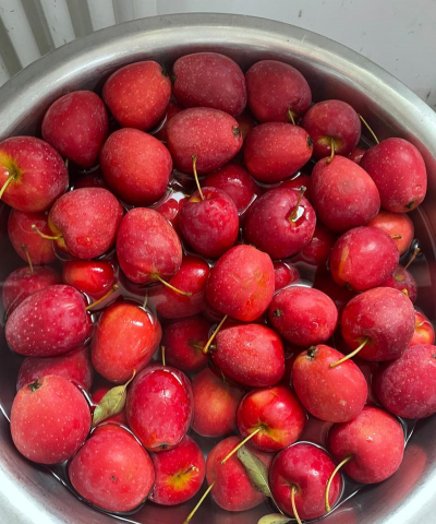 家里阳光不足怎么养花，选对植物种类，掌握养护技巧