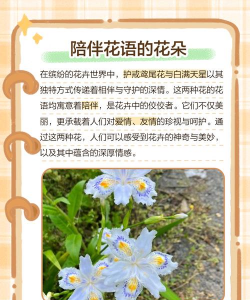 家里阳光不足怎么养花，选对植物种类，掌握养护技巧