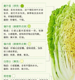 家里阳光不足怎么养花，选对植物种类，掌握养护技巧