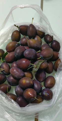 家里阳光不足怎么养花，选对植物种类，掌握养护技巧