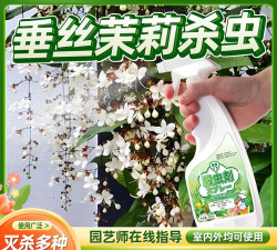 家里阳光不足怎么养花，选对植物种类，掌握养护技巧