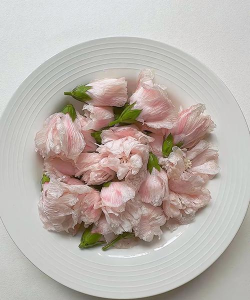 家里阳光不足怎么养花，选对植物种类，掌握养护技巧