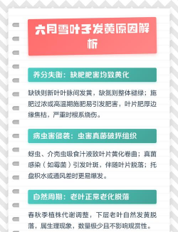 家里阳光不足怎么养花，选对植物种类，掌握养护技巧