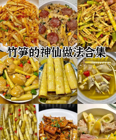 家里阳光不足怎么养花，选对植物种类，掌握养护技巧