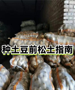 家里阳光不足怎么养花，选对植物种类，掌握养护技巧