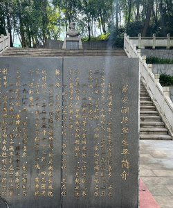 家里阳光不足怎么养花，选对植物种类，掌握养护技巧