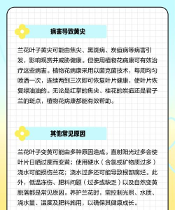 家里阳光不足怎么养花，选对植物种类，掌握养护技巧