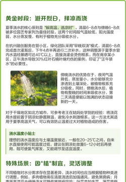家里阳光不足怎么养花，选对植物种类，掌握养护技巧