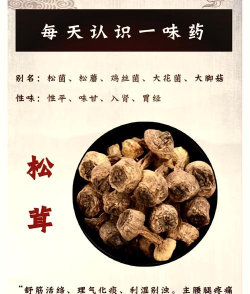 家里阳光不足怎么养花，选对植物种类，掌握养护技巧