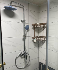 家里阳光不足怎么养花，选对植物种类，掌握养护技巧