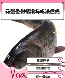 家里阳光不足怎么养花，选对植物种类，掌握养护技巧