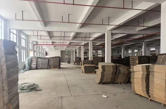 家里阳光不足怎么养花，选对植物种类，掌握养护技巧