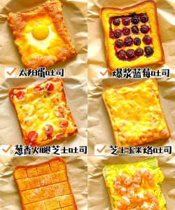 家里阳光不足怎么养花，选对植物种类，掌握养护技巧