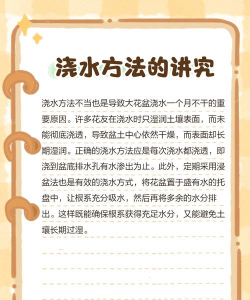 家里阳光不足怎么养花，选对植物种类，掌握养护技巧