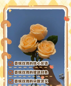 家里阳光不足怎么养花，选对植物种类，掌握养护技巧