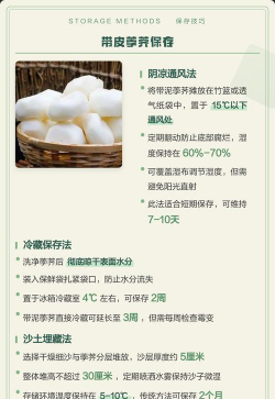 家里阳光不足怎么养花，选对植物种类，掌握养护技巧