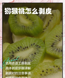 家里阳光不足怎么养花，选对植物种类，掌握养护技巧