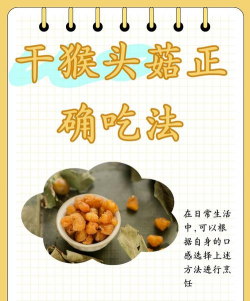 家里阳光不足怎么养花，选对植物种类，掌握养护技巧