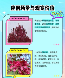 家里阳光不足怎么养花，选对植物种类，掌握养护技巧