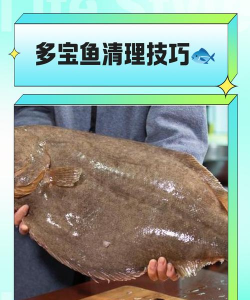 家里阳光不足怎么养花，选对植物种类，掌握养护技巧