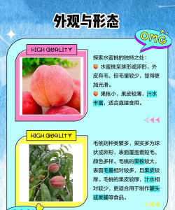 家里阳光不足怎么养花，选对植物种类，掌握养护技巧