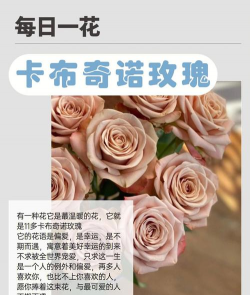 家里阳光不足怎么养花，选对植物种类，掌握养护技巧