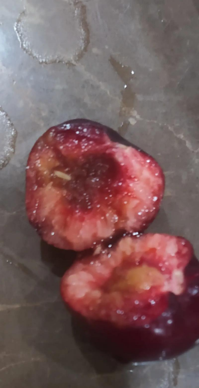 小众送妈妈的花有哪些花