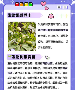 家里阳光不足怎么养花，选对植物种类，掌握养护技巧