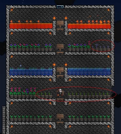 家里阳光不足怎么养花，选对植物种类，掌握养护技巧