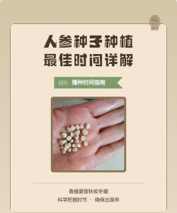 家里阳光不足怎么养花，选对植物种类，掌握养护技巧