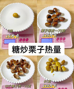 家里阳光不足怎么养花，选对植物种类，掌握养护技巧