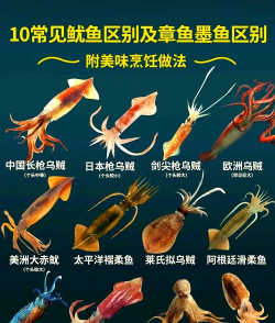 家里阳光不足怎么养花，选对植物种类，掌握养护技巧