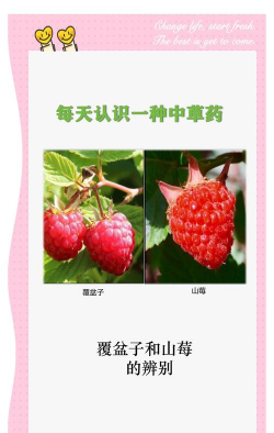 家里阳光不足怎么养花，选对植物种类，掌握养护技巧