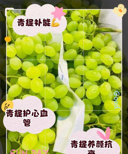 家里阳光不足怎么养花，选对植物种类，掌握养护技巧