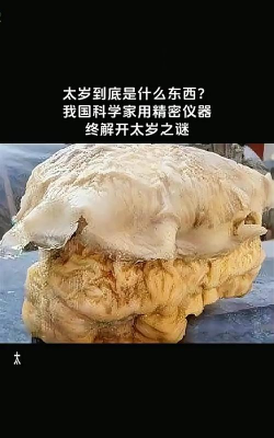 家里阳光不足怎么养花，选对植物种类，掌握养护技巧