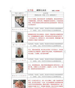 家里阳光不足怎么养花，选对植物种类，掌握养护技巧