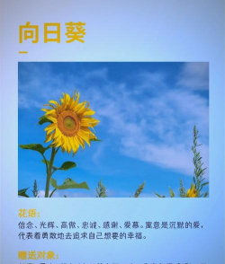 家里阳光不足怎么养花，选对植物种类，掌握养护技巧