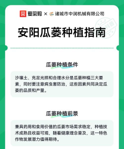 家里阳光不足怎么养花，选对植物种类，掌握养护技巧