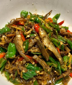 家里阳光不足怎么养花，选对植物种类，掌握养护技巧