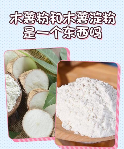 家里阳光不足怎么养花，选对植物种类，掌握养护技巧