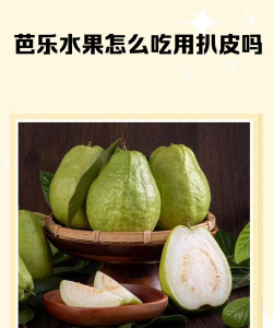 家里阳光不足怎么养花，选对植物种类，掌握养护技巧