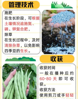 家里阳光不足怎么养花，选对植物种类，掌握养护技巧