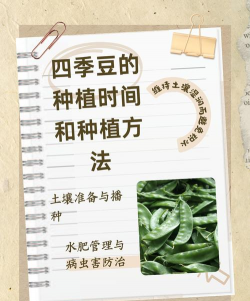 家里阳光不足怎么养花，选对植物种类，掌握养护技巧