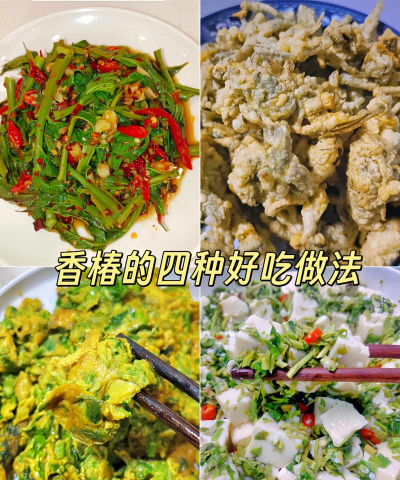 家里阳光不足怎么养花，选对植物种类，掌握养护技巧