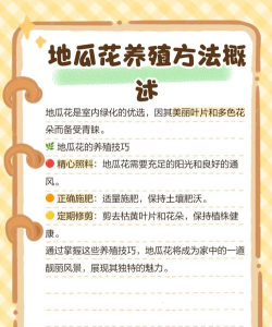 家里阳光不足怎么养花，选对植物种类，掌握养护技巧