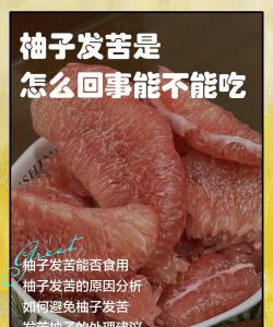 家里阳光不足怎么养花，选对植物种类，掌握养护技巧