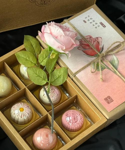 家里阳光不足怎么养花，选对植物种类，掌握养护技巧