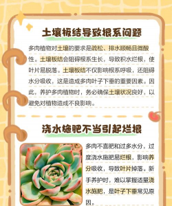 家里阳光不足怎么养花，选对植物种类，掌握养护技巧